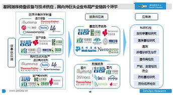 中国医疗健康领域投资分析报告