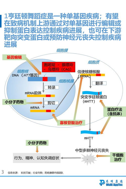 独家 基因编辑和寡核苷酸能否逆转亨廷顿舞蹈症研发进程