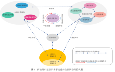 丙泊酚对大脑功能网络调节机制的研究进展