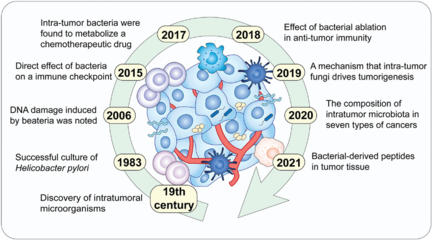 综述丨浙大&苏大 (IF:17.5): 肿瘤中的微生物群: 从理解到应用(国人佳作)