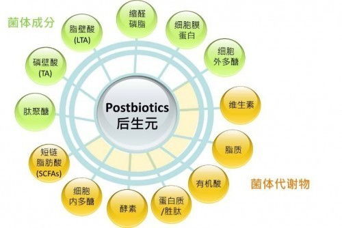 后生元带来行业新机遇,看燕教授如何开启口腔健康新纪元