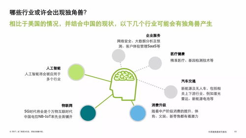 2017中美独角兽研究分析报告 