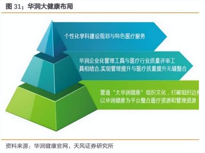 迪瑞医疗研究报告:体外诊断多业务持续突破,市场前景广阔