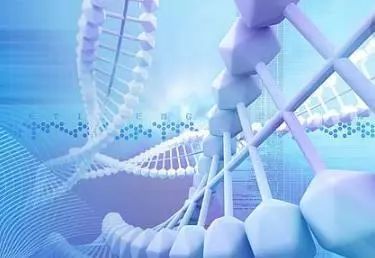 生物科技领域国际进展与趋势分析