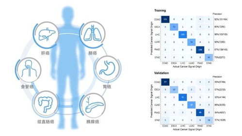 造福 守护中国百姓健康,和瑞基因实现多癌种早筛