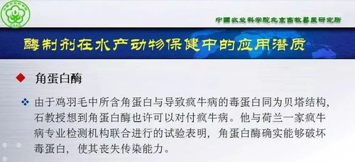 动保大会ppt⑥ 张铁鹰 酶制剂在水产动物营养与保健方面的潜质