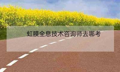 虹膜全息健康咨询师