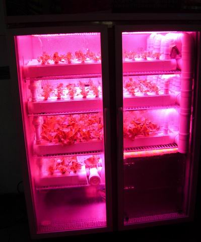 跨界融合 从医疗器械研发到家庭迷你植物工厂的创新之路