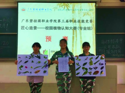 QQ图片20170413160220_副本.jpg