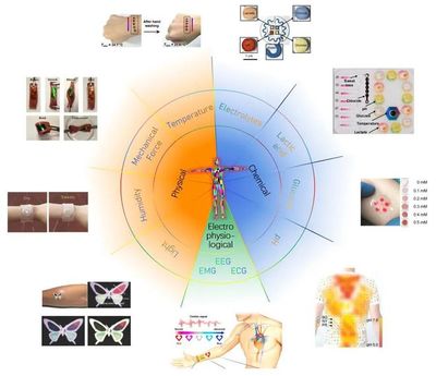 西安交大【AFM】综述健康监测领域可穿戴变色传感器研究进展