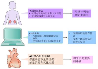 2019 年急性肾损伤领域研究进展